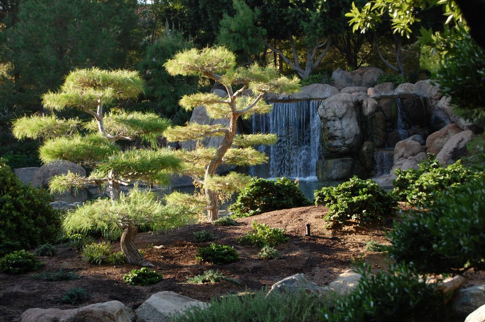 City Of Phoenix Volunteer